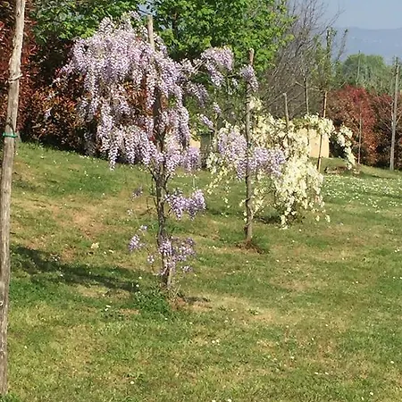 Appartement Gabbiano Podere Casanova