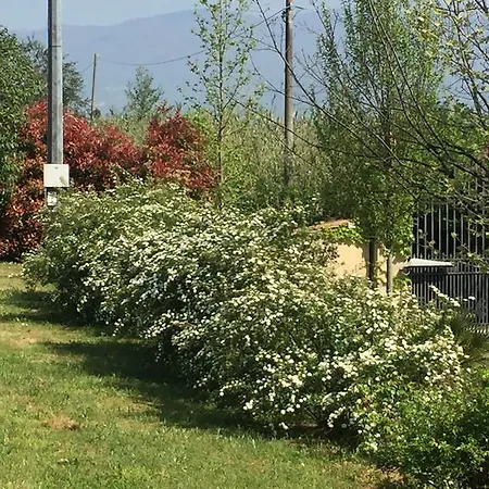 Gabbiano Podere Casanova Pistoia