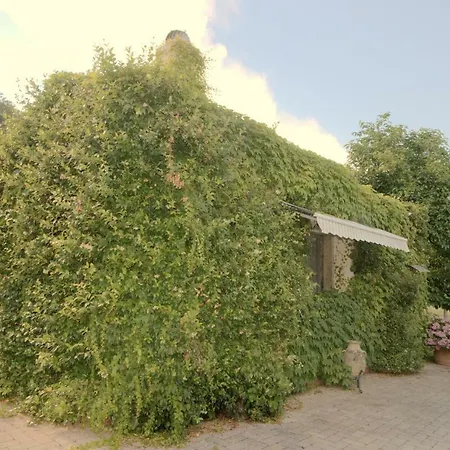 Gabbiano Podere Casanova Appartement