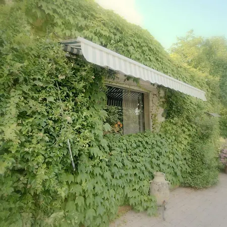 Gabbiano Podere Casanova Pistoia