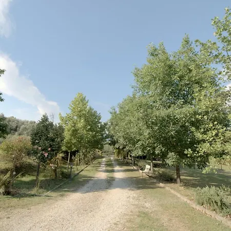 Gabbiano Podere Casanova Pistoia
