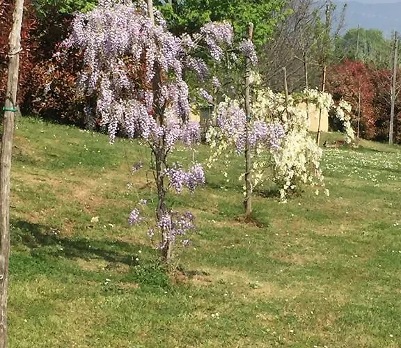 아파트 Gabbiano Podere Casanova