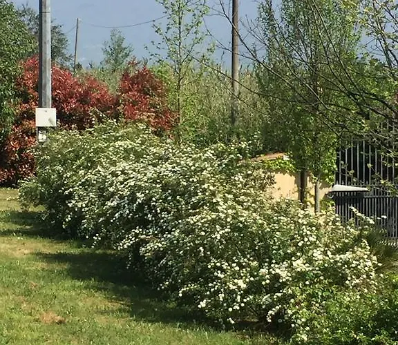 Gabbiano Podere Casanova 피스토이아