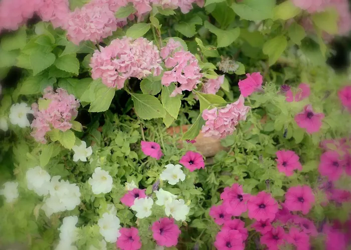 Gabbiano Podere Casanova 아파트