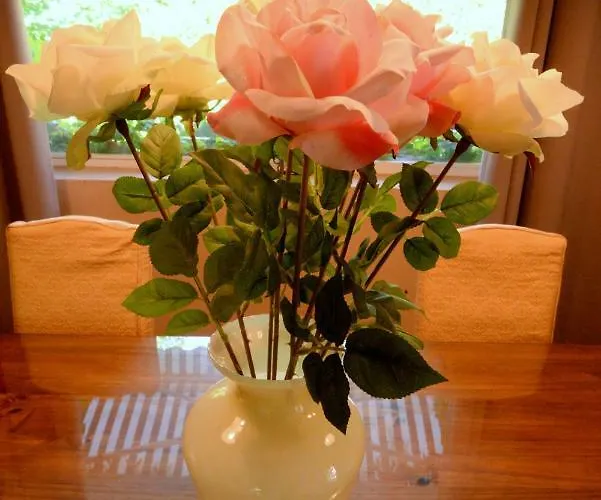 아파트 Gabbiano Podere Casanova