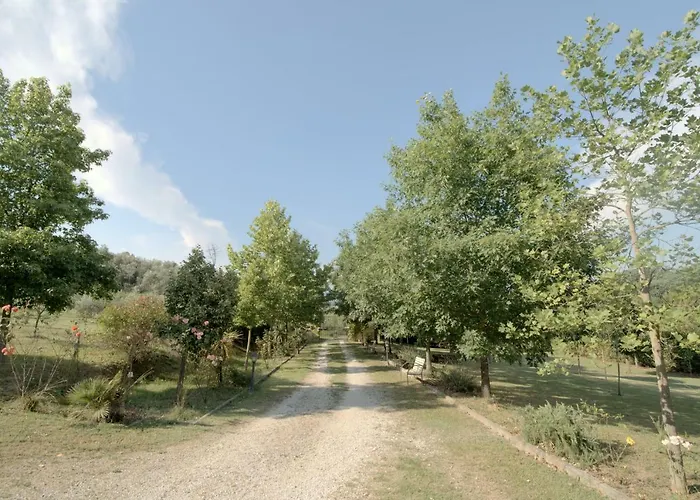 Gabbiano Podere Casanova 피스토이아